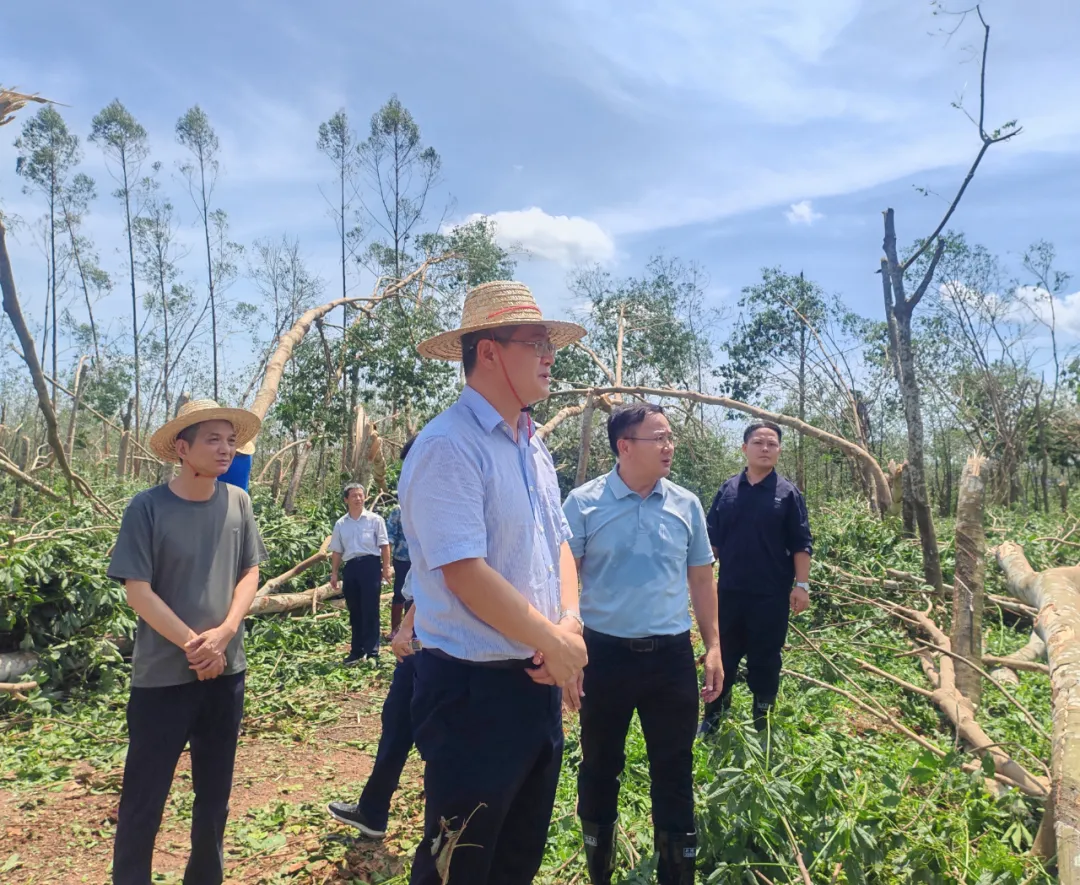 3ba95d58a22c4e818f7bfcfe9a9068ff