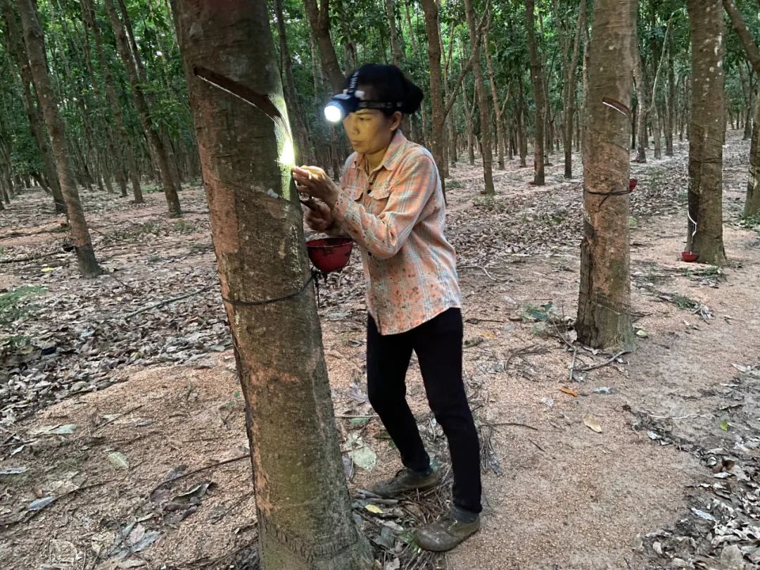 4a296d4f72d24818a38e790609a2b749