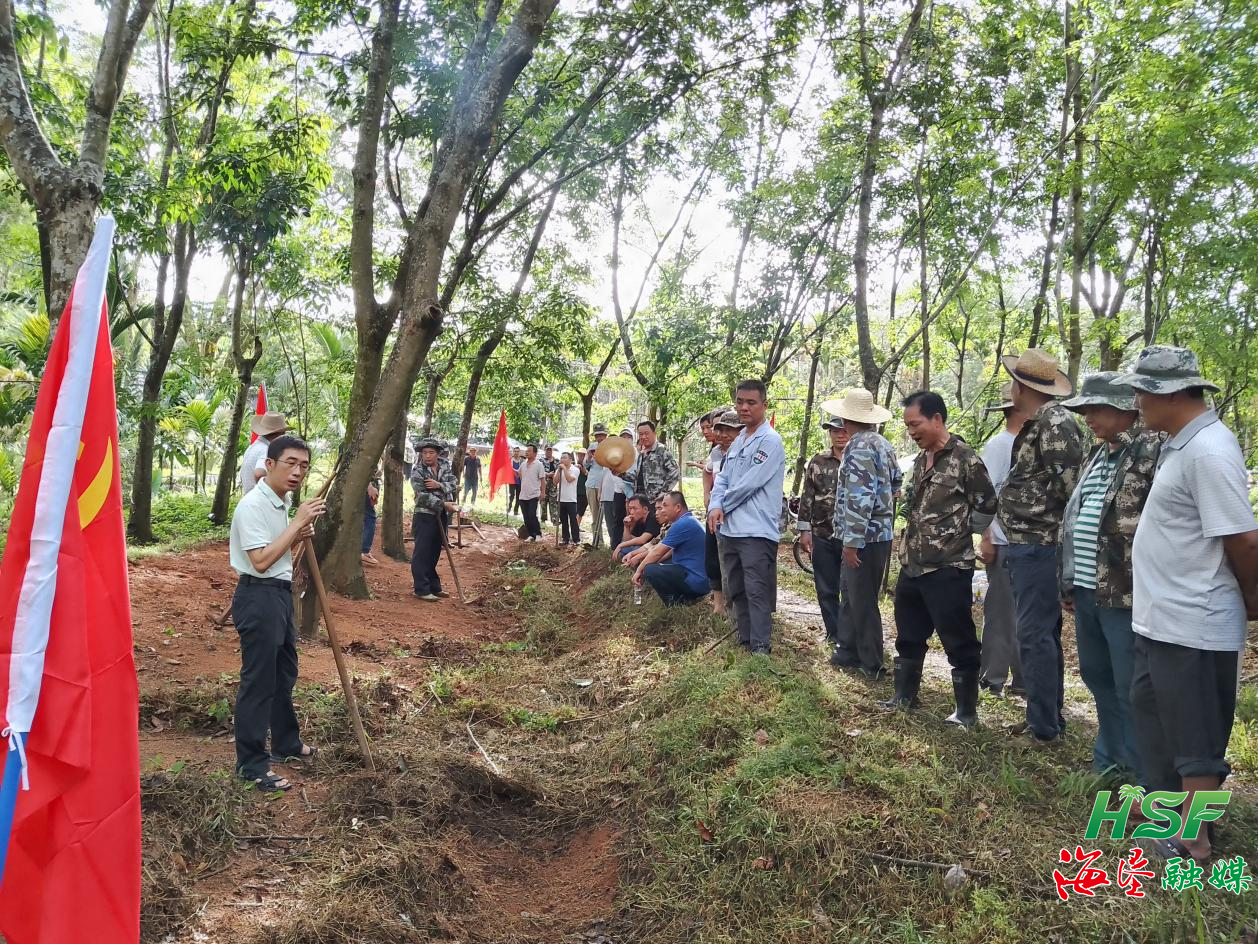 d198775c87f54dcdb75e93d5605f3a86