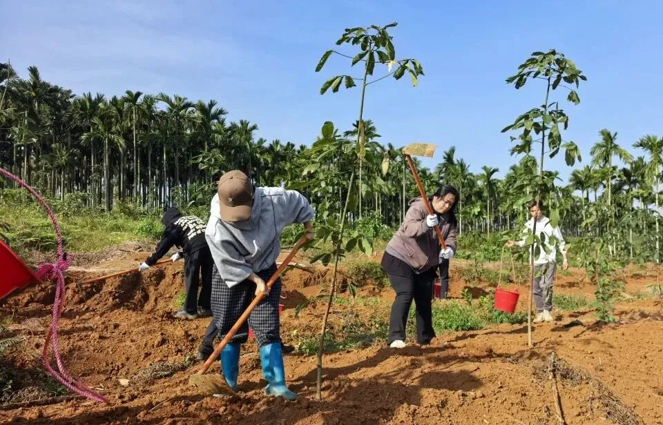 d7dfae9418be460d891ab4f5540d1187