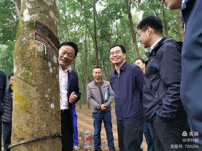 首页- 南宫NG28国际集团官方网站