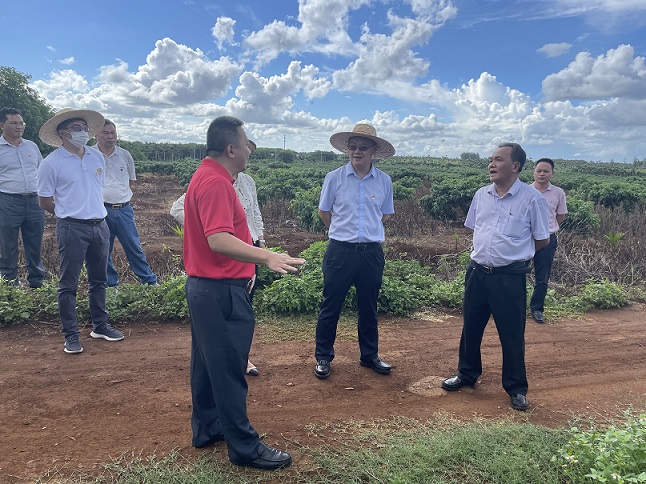 首页- 南宫NG28国际集团官方网站