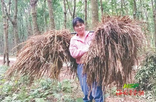 首页- 南宫NG28国际集团官方网站