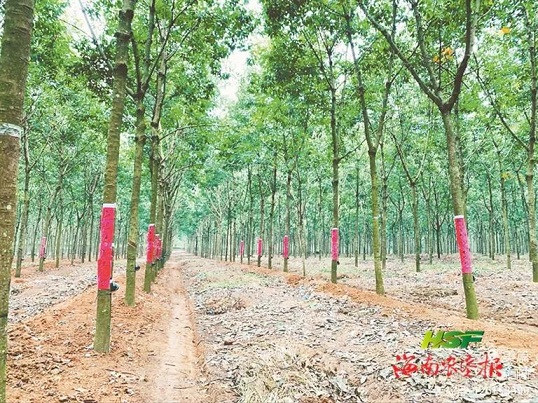 首页- 南宫NG28国际集团官方网站