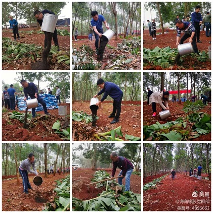 首页- 南宫NG28国际集团官方网站