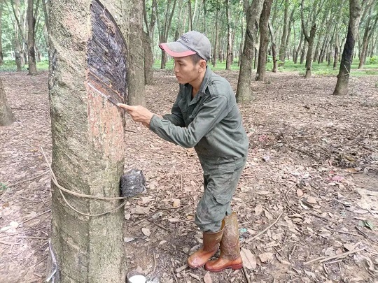 首页- 南宫NG28国际集团官方网站