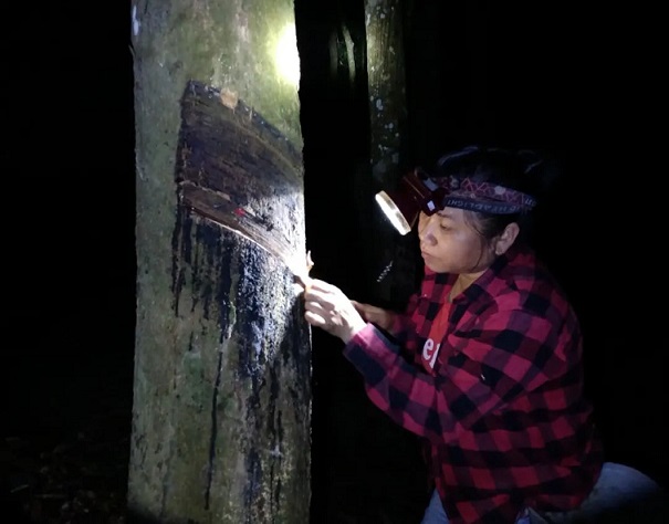 首页- 南宫NG28国际集团官方网站