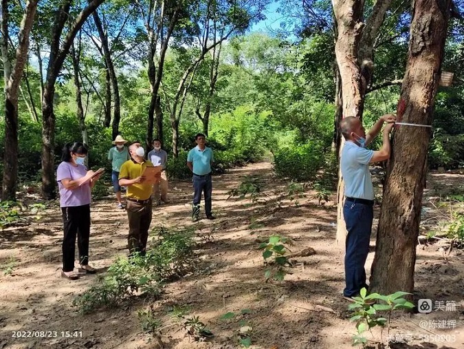 首页- 南宫NG28国际集团官方网站