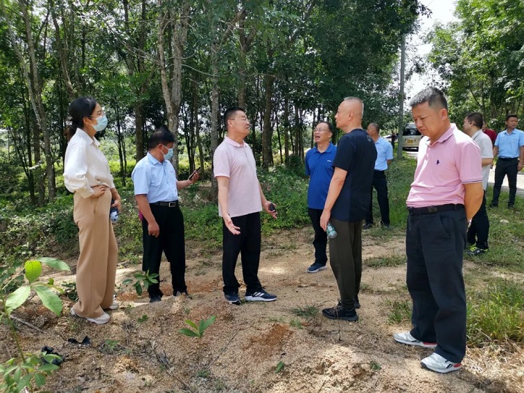 首页- 南宫NG28国际集团官方网站