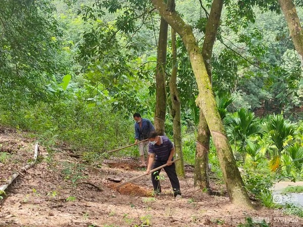 首页- 南宫NG28国际集团官方网站