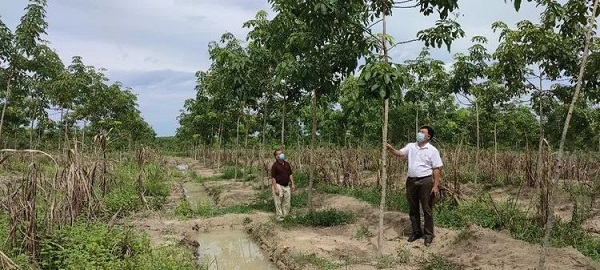 首页- 南宫NG28国际集团官方网站