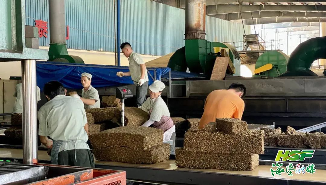 首页- 南宫NG28国际集团官方网站