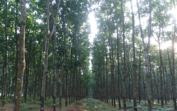 首页- 南宫NG28国际集团官方网站