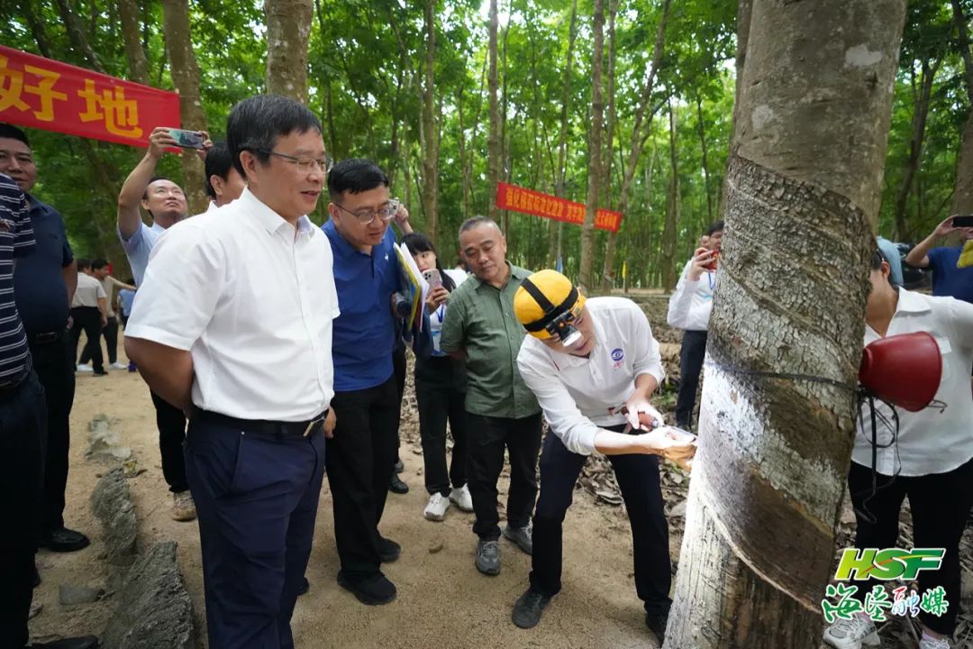 首页- 南宫NG28国际集团官方网站