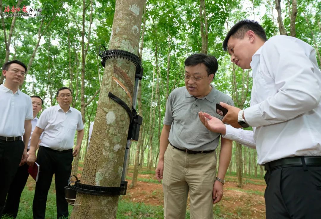 首页- 南宫NG28国际集团官方网站