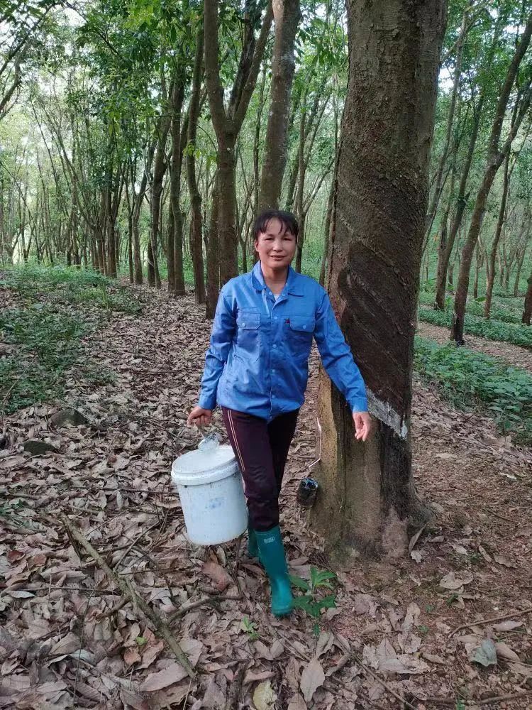 首页- 南宫NG28国际集团官方网站