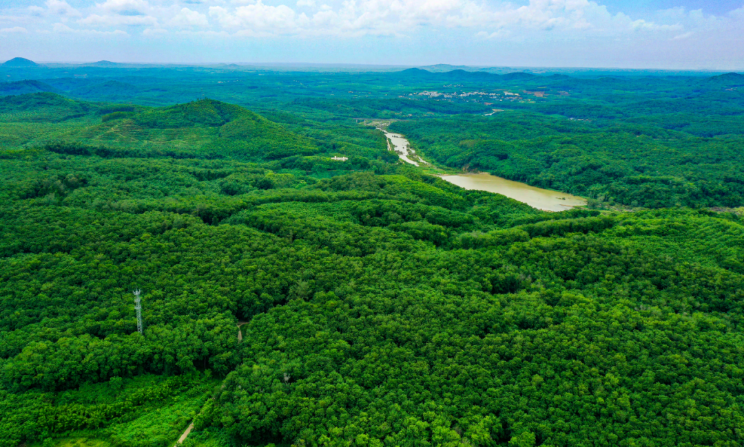 首页- 南宫NG28国际集团官方网站