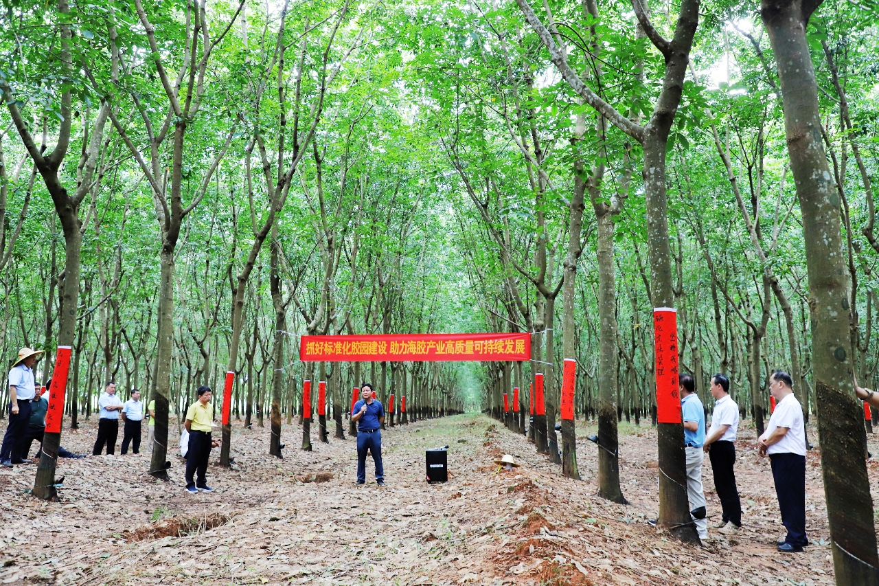 首页- 南宫NG28国际集团官方网站